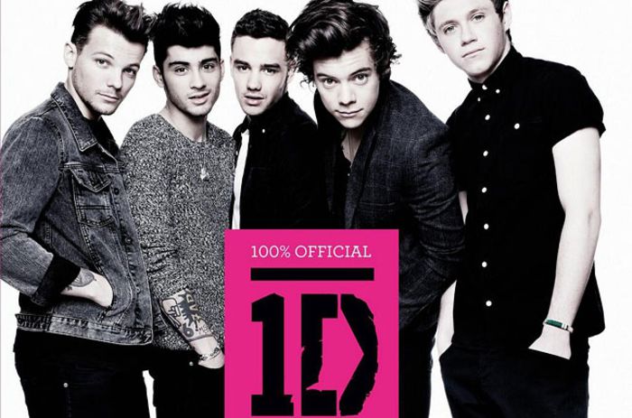 one-direction-1d-100-percent-official-650-430 - One direction