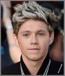 download (1) - niall horan