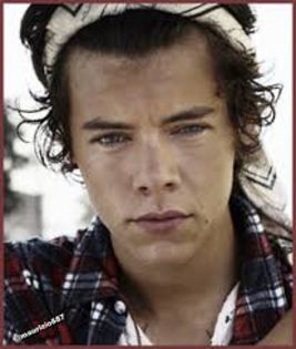 images (8) - harry styles