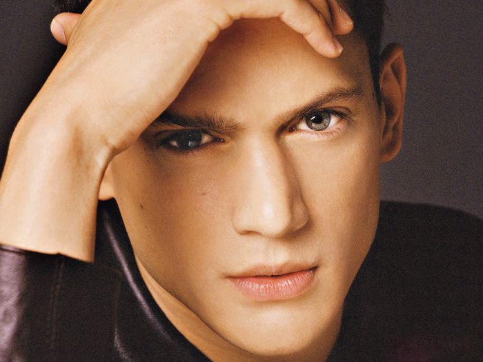 Wentworth Miller  (1)