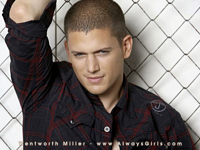 Wentworth Miller  (3)