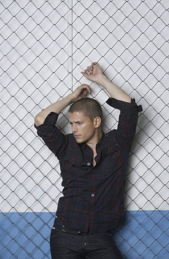 Wentworth Miller  (11)