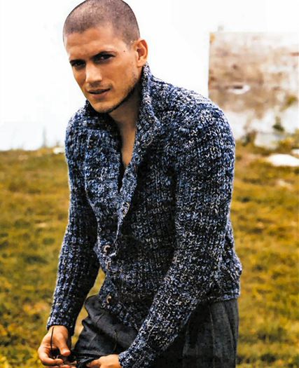 Wentworth Miller  (16)