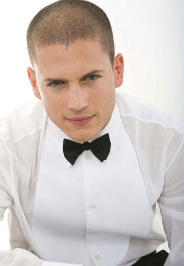 Wentworth Miller  (19)