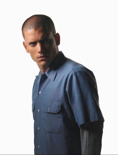 Wentworth Miller  (37)