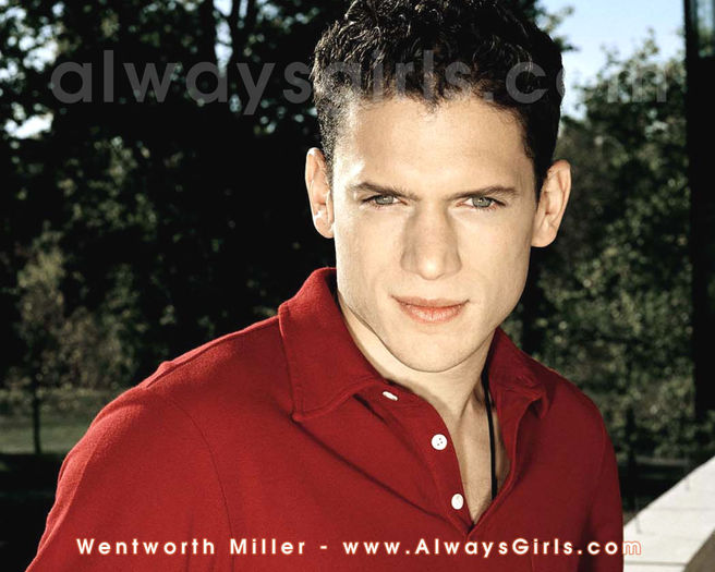 Wentworth Miller  (62) - Wentworth Miller