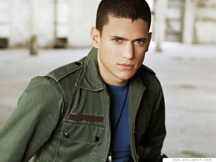 Wentworth Miller  (64) - Wentworth Miller