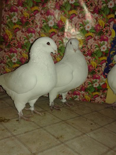 20141220_150606
