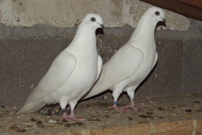 DSCF1658