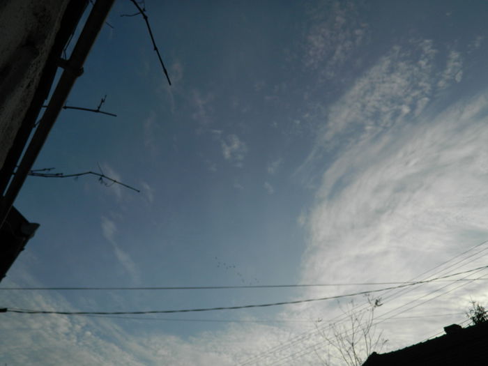 DSCN6285 - DECEMBRIE_2_2014