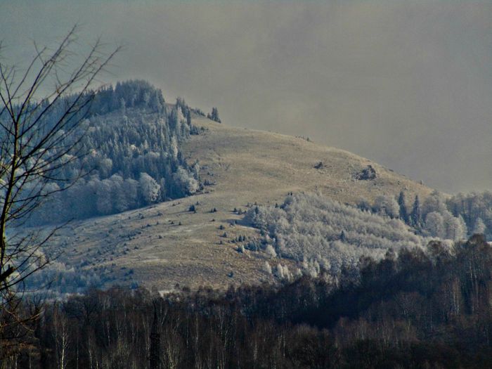 DSC00031