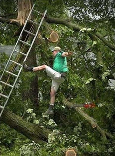 taiatul crengii de sub picioare