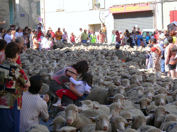 Da oile si oamenii bucurosi