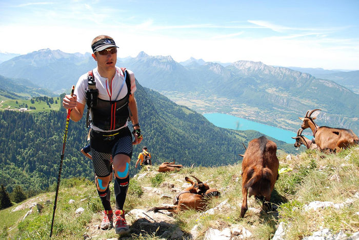 Turistul si Alpinele la soare - Rase de oi si capre-Poze deosebite-3