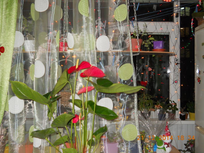 001 - DECEMBRIE 2014