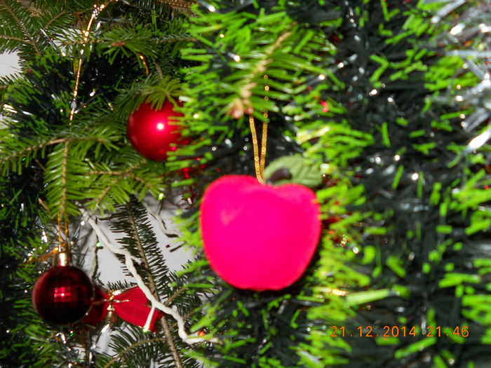 040 - DECEMBRIE 2014