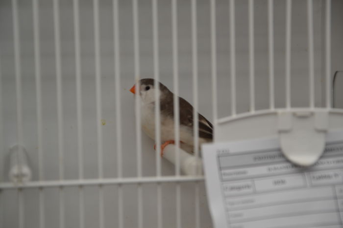 DSC_0107 - 2013-POZE NR 1