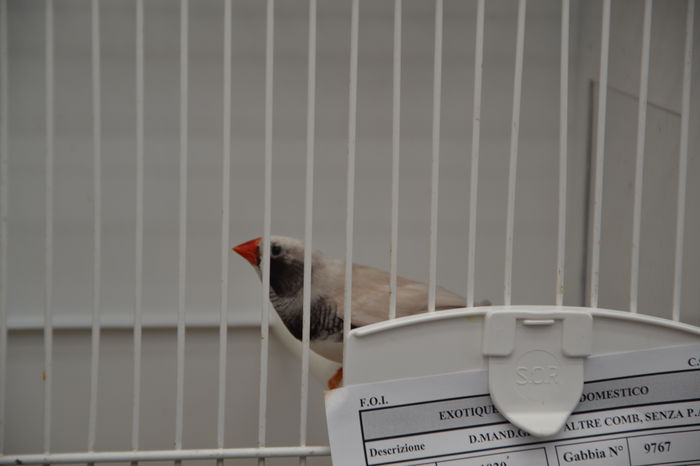 DSC_0225 - 2013-POZE NR 1