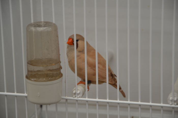 DSC_0228 - 2013-POZE NR 1