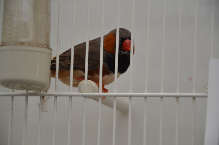 DSC_0284 - 2013-POZE NR 1