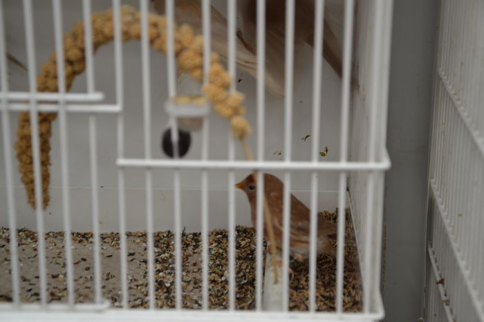 DSC_0137 - 2014-POZE NR 1