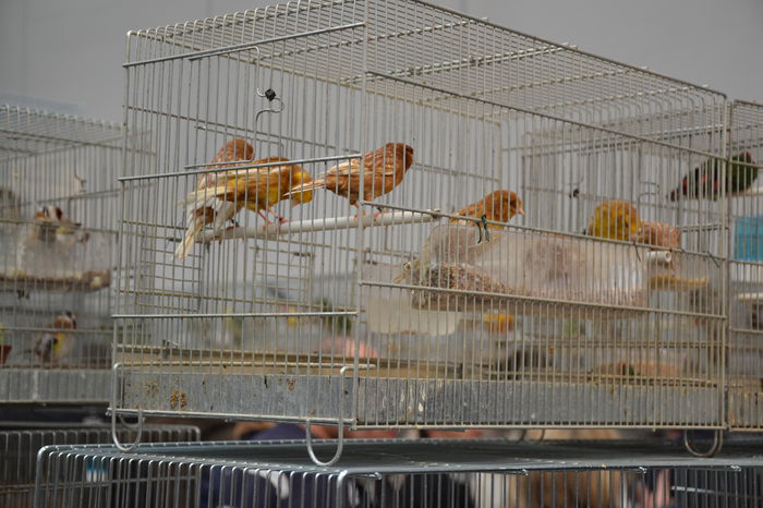 DSC_0187 - 2014-POZE NR 1