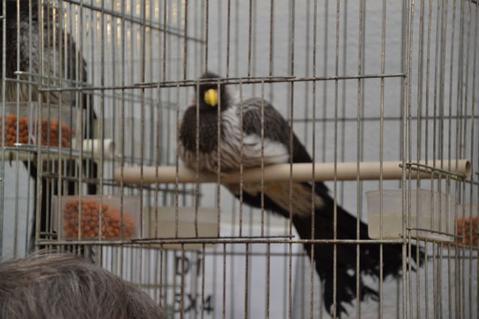 DSC_0189 - 2014-POZE NR 1