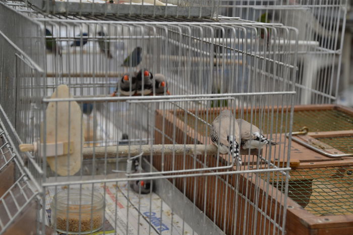 DSC_0301 - 2014-POZE NR 1