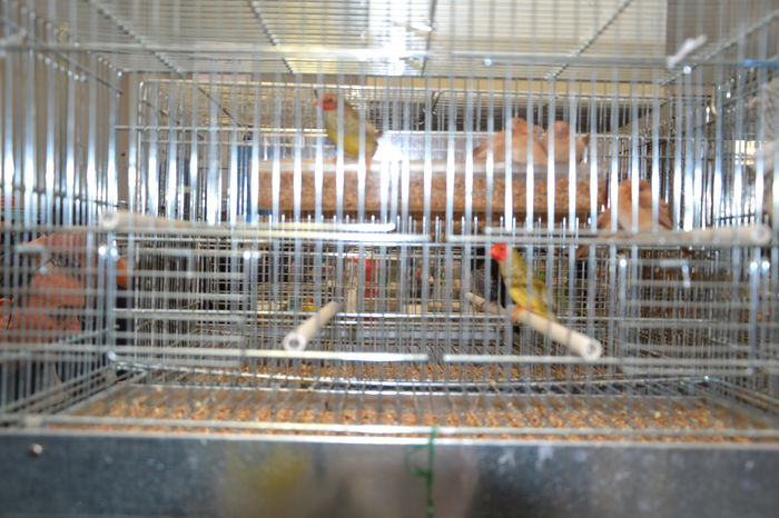 DSC_0351 - 2014-POZE NR 1