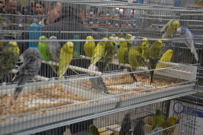 DSC_0354 - 2014-POZE NR 1