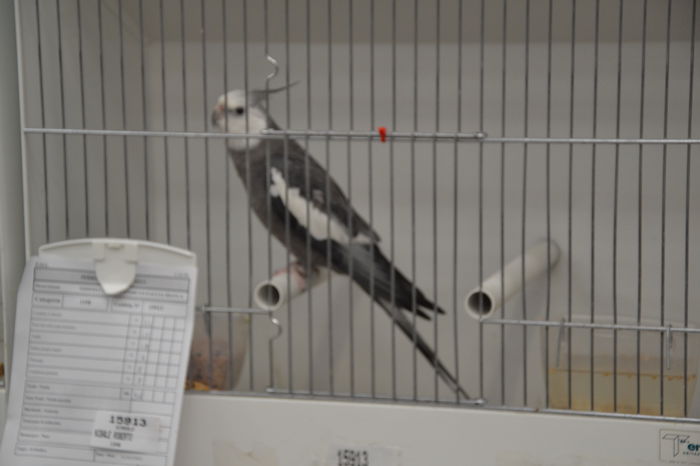 DSC_0435 - 2014-POZE NR 1