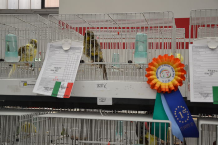 DSC_0440 - 2014-POZE NR 1