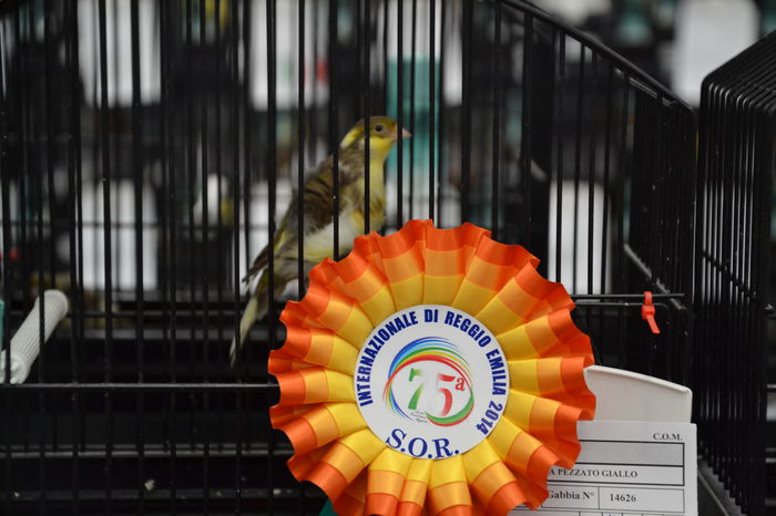 DSC_0443 - 2014-POZE NR 1