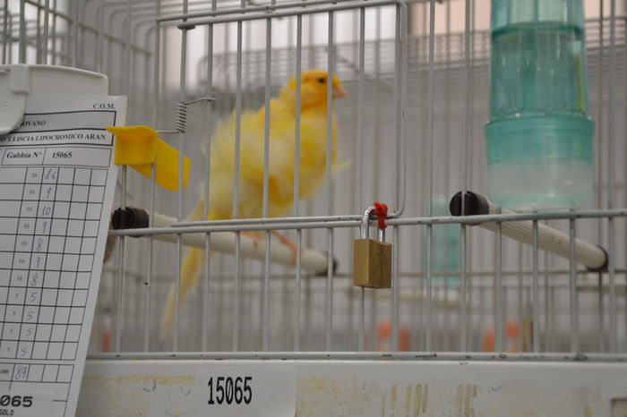 DSC_0445 - 2014-POZE NR 1