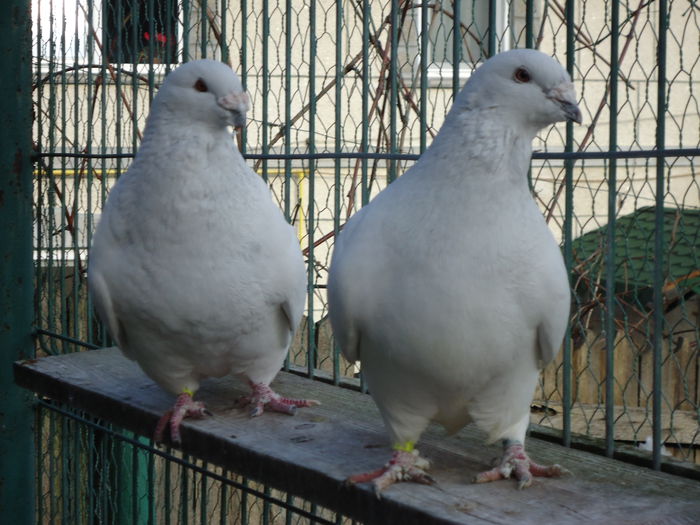 M-2011-388&F-2011-2846