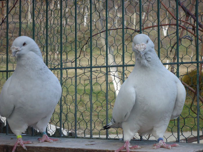 M-2011-2841&M-2012-2802