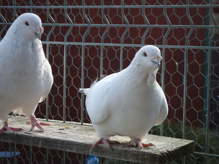 M-2011-388&F-2011-2846