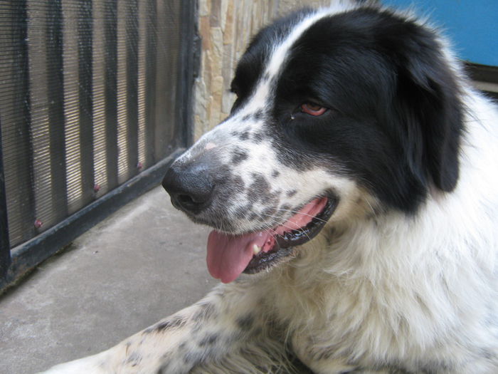 Picture My plants 647