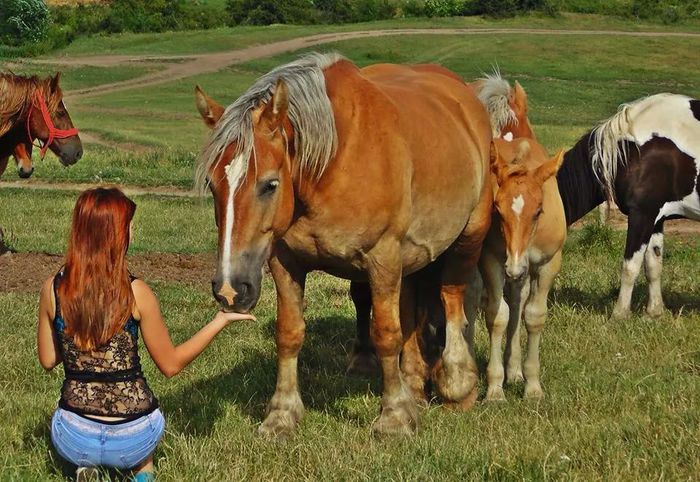 10866677_900600533317700_1747135202_n - Alaturi de ceea ce iubesc