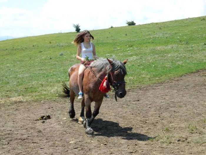 10866982_900600159984404_1721998332_n