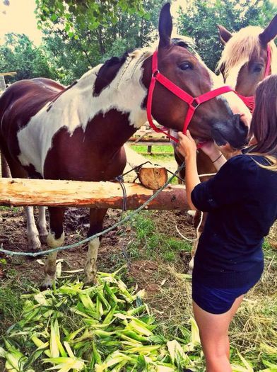 10872142_900600226651064_63101030_n