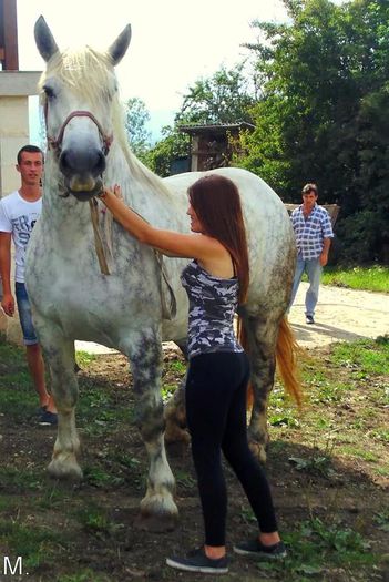 10872216_900600556651031_1039584929_n