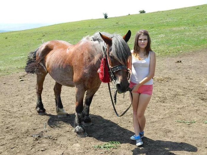 10881341_900600116651075_1969923793_n