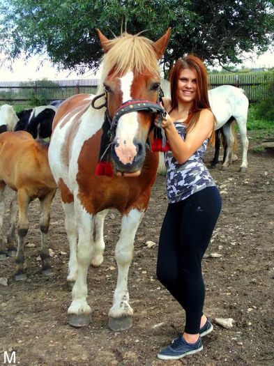 10881378_900600433317710_226975154_n