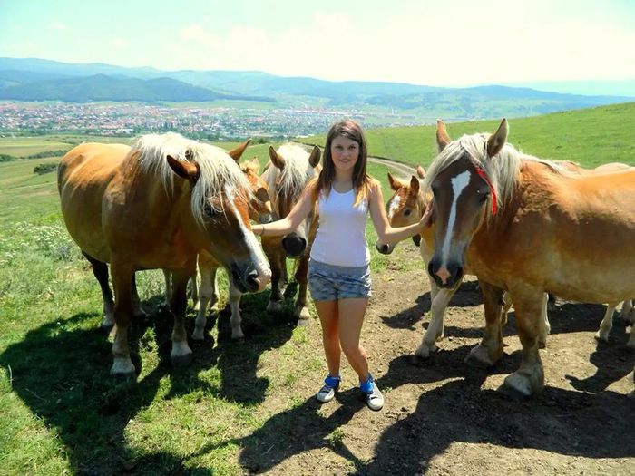 10881429_900600469984373_1738544213_n