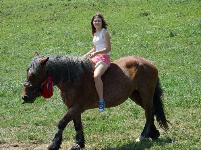 10884494_900600183317735_1320943067_n