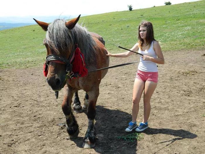 10884675_900600119984408_979021044_n