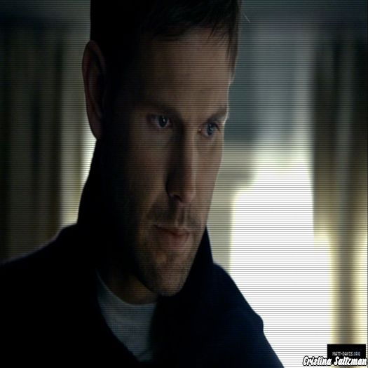 ➹❛ЯΛÐłØΛϾTłVƐ❜☂ Aoleo, și ce fac bo;;;așele ?  #Stefan ; Știi că ai un pic CL; De ZANE în tine, nu ? :p #Klaus
