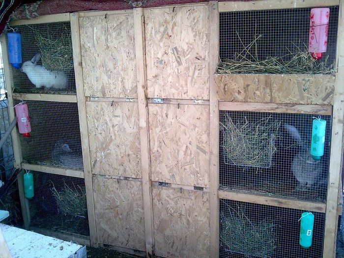 Imagine012 - N Constructia unei custi pentru iepuri