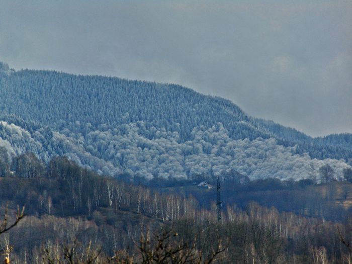 DSC00044 - Din Natura